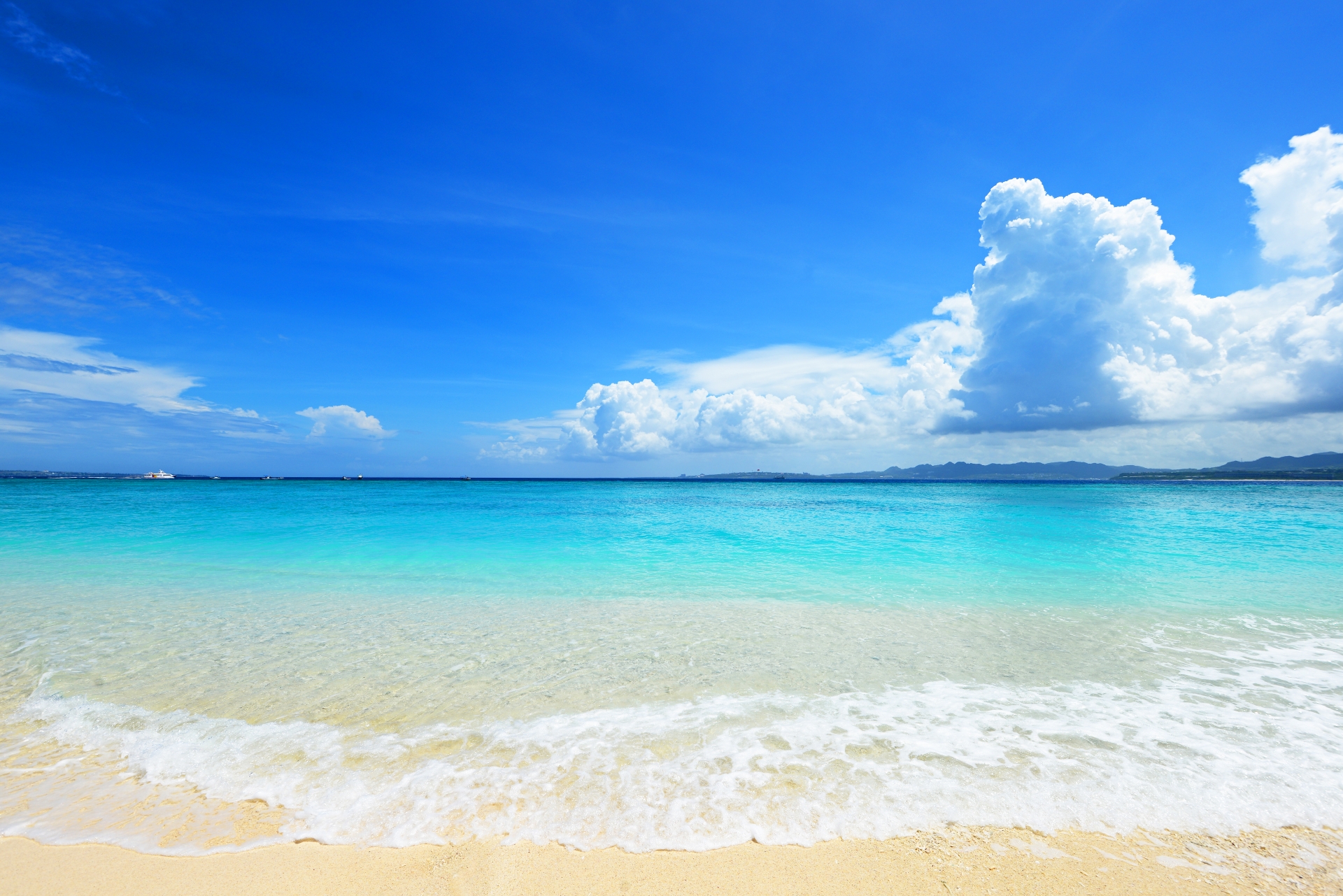 夏の海